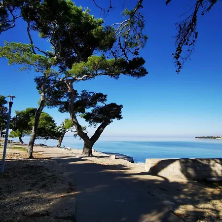 Family Plazina - Place 1 & 2 * 佩特坎内