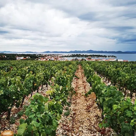 公寓 Family Plazina - Place 1 & 2 *