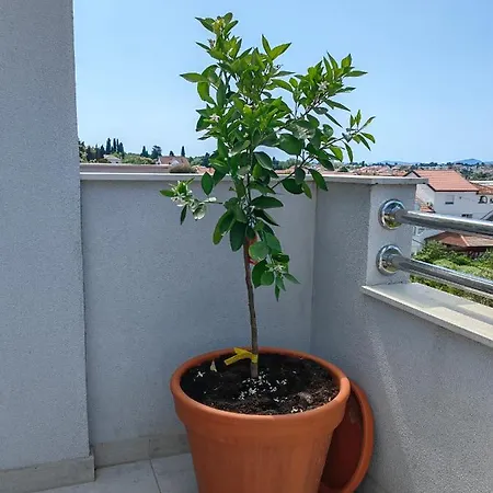 Family Plazina - Place 1 & 2 公寓 *