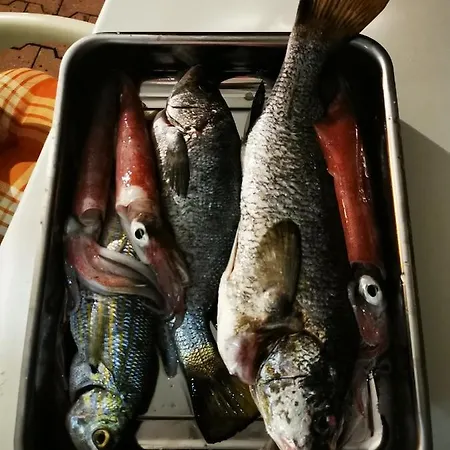 Family Plazina - Place 1 & 2 公寓